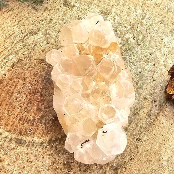 Cute Nature Cluster Hand Carved 2.3" Hedgehog Figure - Picture 6 of 10